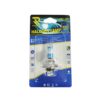 Rchang Λάμπα Αυτοκινήτου H7 12V 55W - Halogen Lamp - sukki.gr