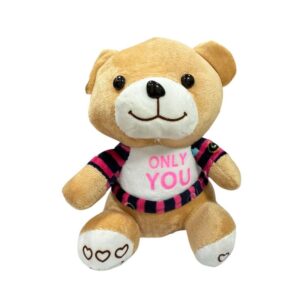 Λούτρινο Αρκουδάκι- Teddy Bear - sukki.gr