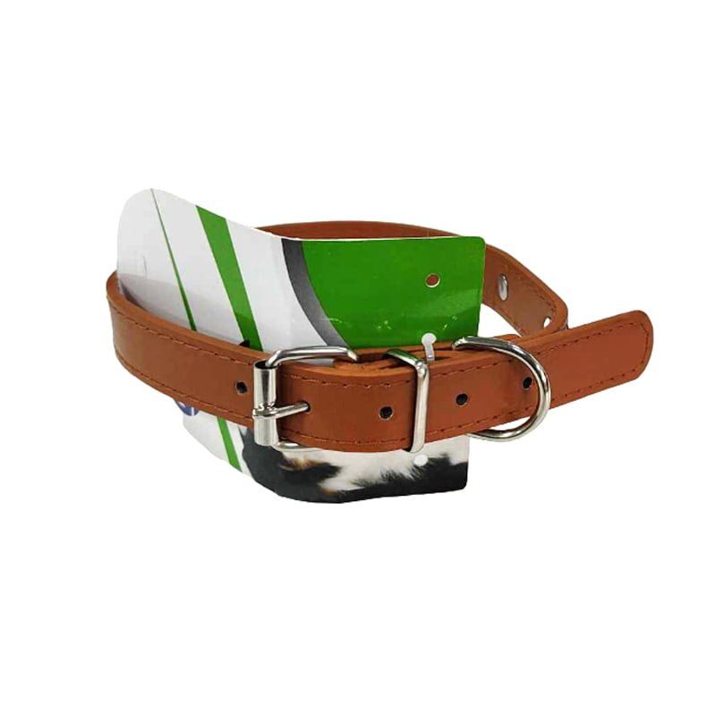 Κολάρο Σκύλου - Dog Collar - Image 3