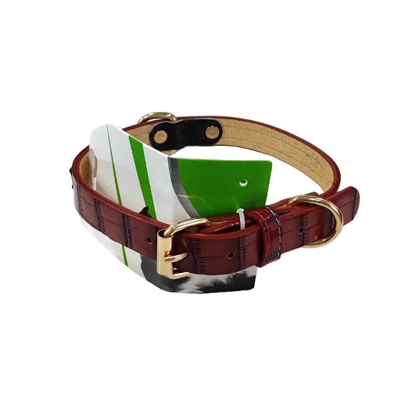 Κολάρο Σκύλου - Dog Collar - Image 3
