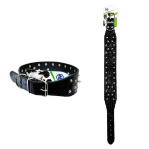 Κολάρο Σκύλου Με Τρουκς Μαύρο - Dog Collar - sukki.gr