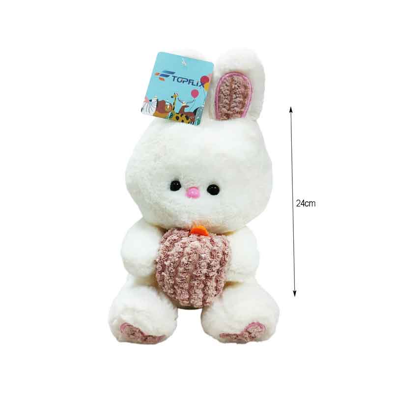 Λούτρινο Λαγουδάκι - Plush Bunny - Image 3