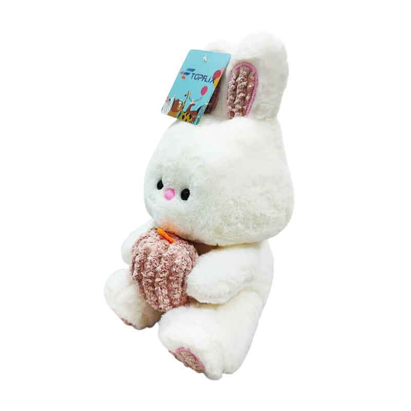 Λούτρινο Λαγουδάκι - Plush Bunny - Image 2