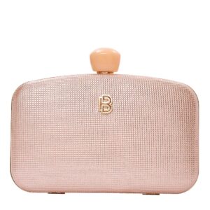 Τσάντα φάκελος clutch JH-21995 – Σαμπανιζέ BAG TO BAG - sukki.gr