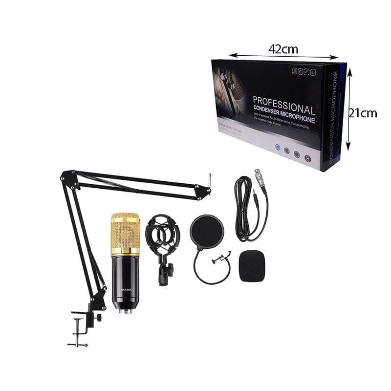 Επαγγελματικό Πυκνωτικό Μικρόφωνο - Professional Condenser Microphone - Image 8