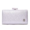 Τσάντα φάκελος clutch -JH-21991 – Σαμπανιζέ BAG TO BAG - sukki.gr