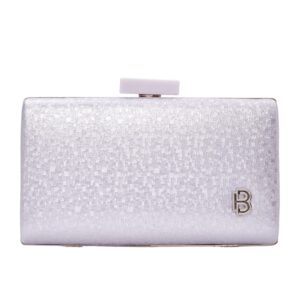 Τσάντα φάκελος clutch -JH-21991 – Σαμπανιζέ BAG TO BAG - sukki.gr