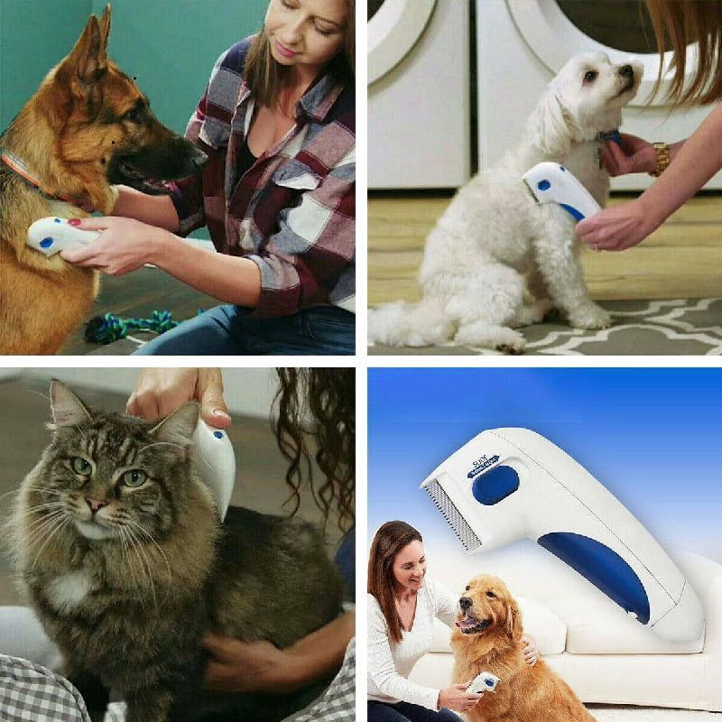 Factory Flea Doctor Ηλεκτρική Χτένα Σκύλου για Εξολόθρευση Ψύλλων & Παράσιτων - Electric Dog Comb for Extermination of Fleas and Pests - Image 3