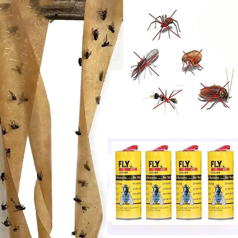 Παγίδα για μύγες και κουνούπια 8τμχ - Green live fly catch trap - Image 2