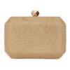 Τσάντα φάκελος clutch JH2225 – Χρυσό BAG TO BAG - sukki.gr