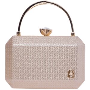 Τσάντα φάκελος clutch CK-6073 – Σαμπανιζέ BAG TO BAG - sukki.gr