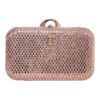 Τσάντα φάκελος clutch CK-6059 – Σαμπανιζέ BAG TO BAG - sukki.gr