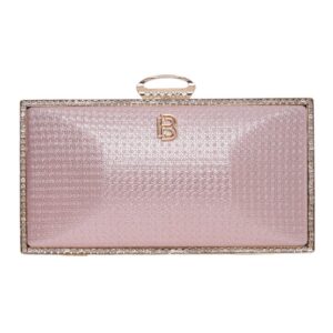 Τσάντα φάκελος clutch CK-6051 – Σαμπανιζέ BAG TO BAG - sukki.gr