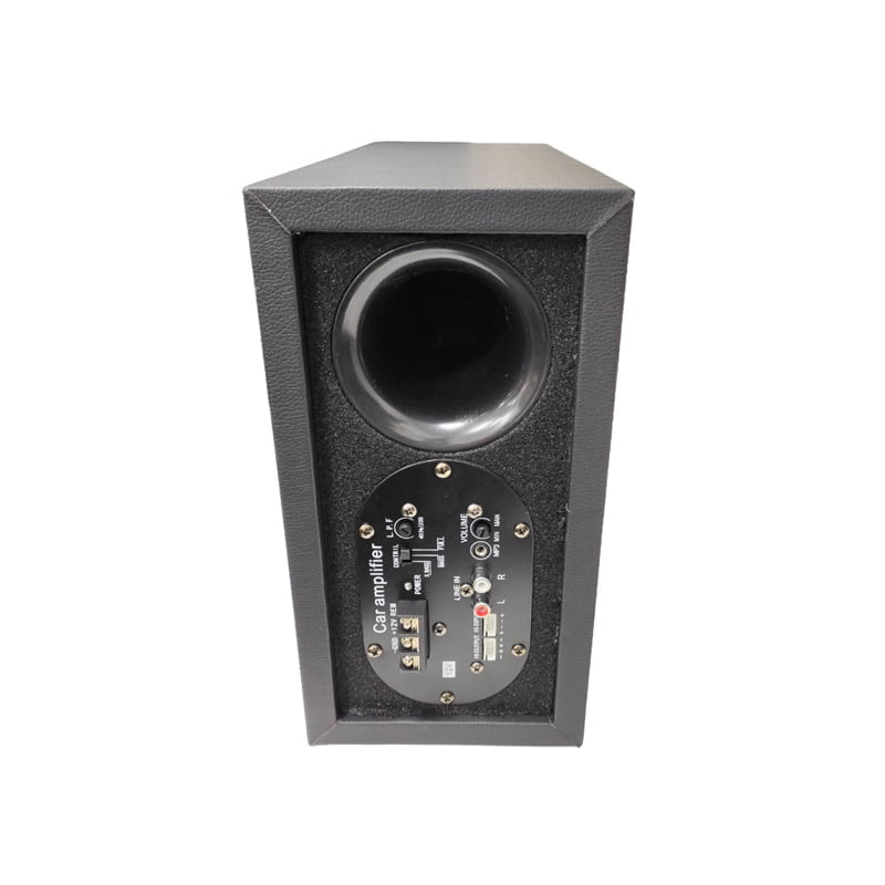 Pervoi Subwoofer Αυτοκινήτου 12V CTC-8031 - Active subwoofer - Image 4