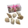 Διακοσμητικά κοχύλια σε κουτί 1τμχ - Shell decoration - sukki.gr