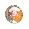 Διακοσμητικά κοχύλια σε καλαθάκι - Shell decoration - sukki.gr