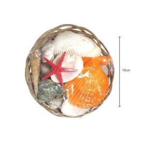 Διακοσμητικά κοχύλια σε καλαθάκι - Shell decoration - sukki.gr